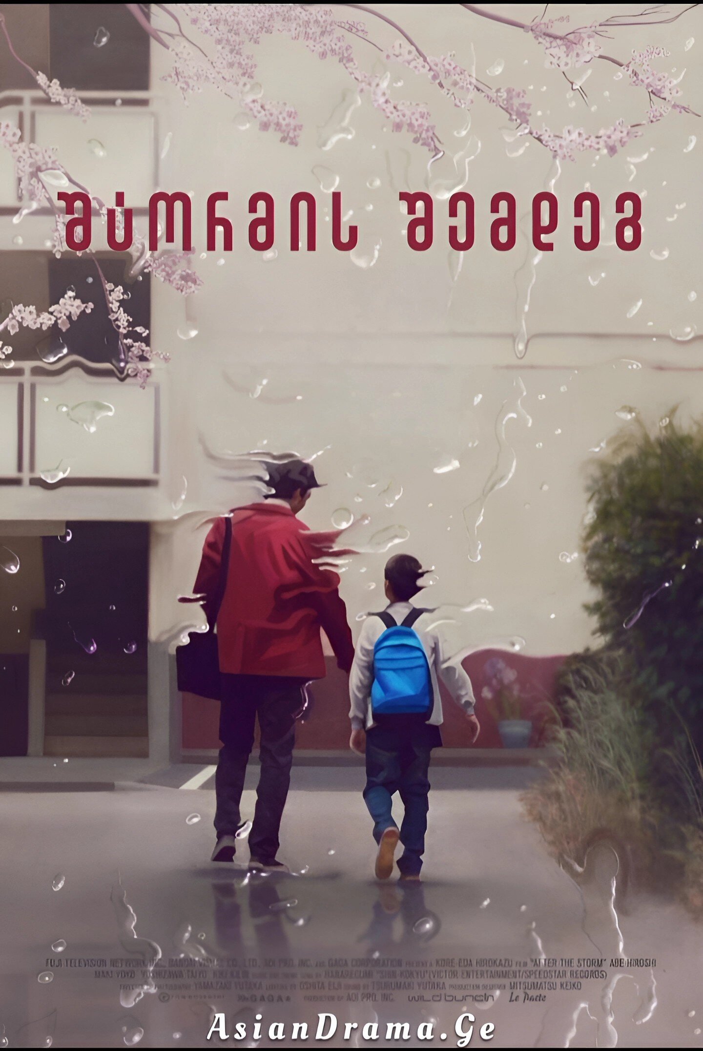 შტორმის შემდეგ