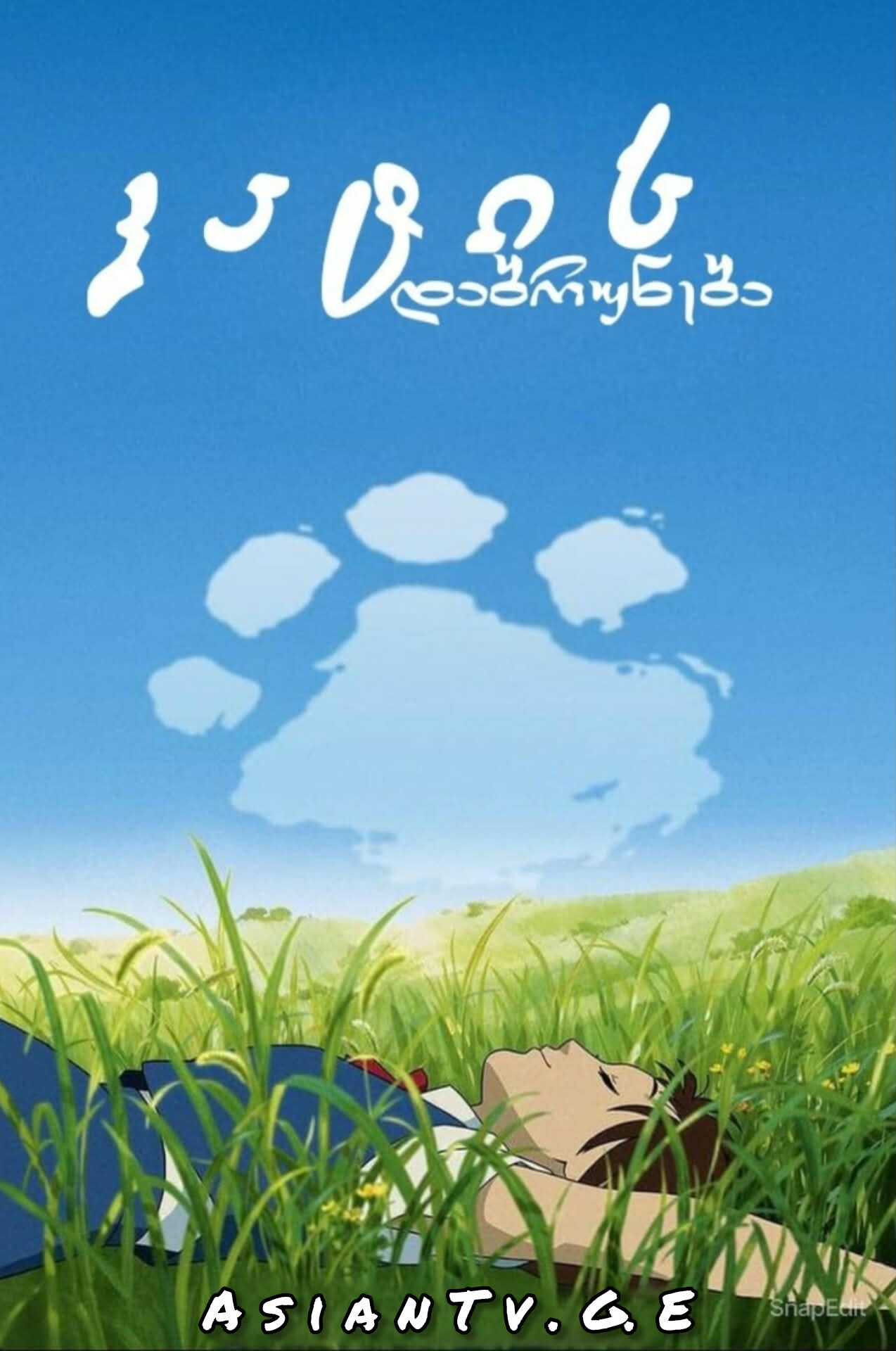 კატის დაბრუნება